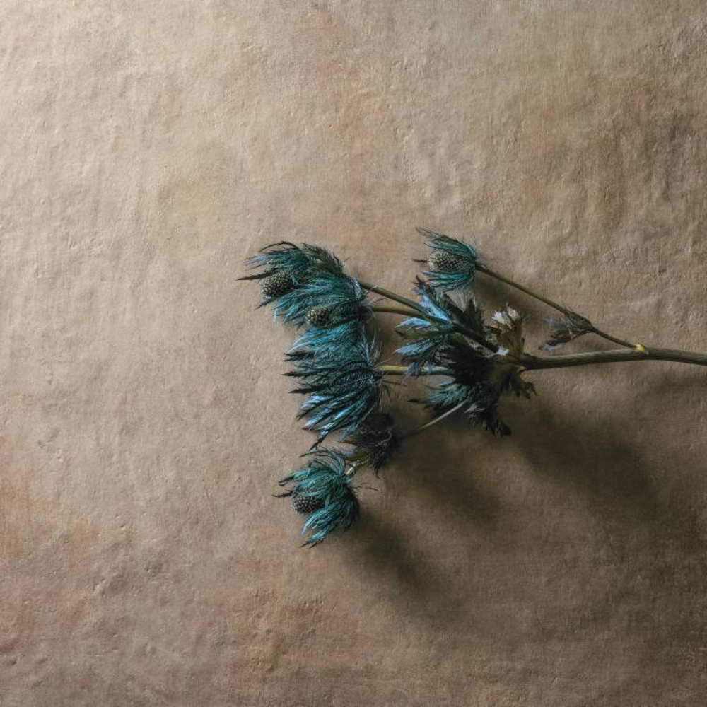 Affrescati Terra 40x80