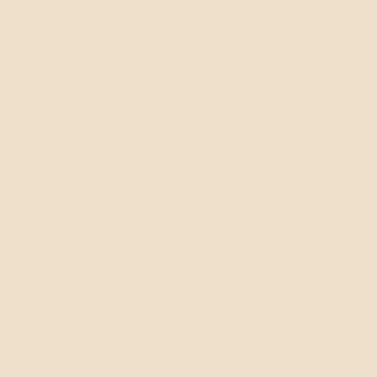 Play beige 30x60